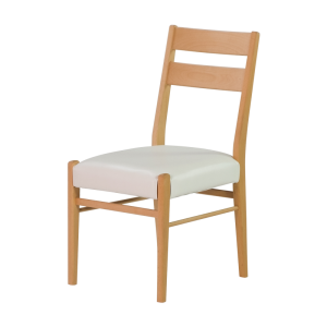 ERISPLUS-3 DINING CHAIR_if